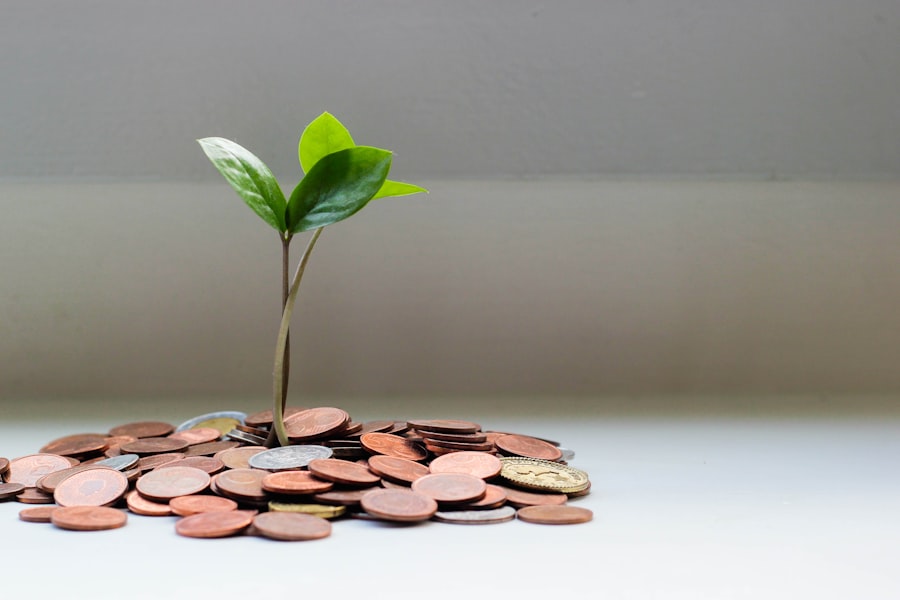 Revenue and earning potential